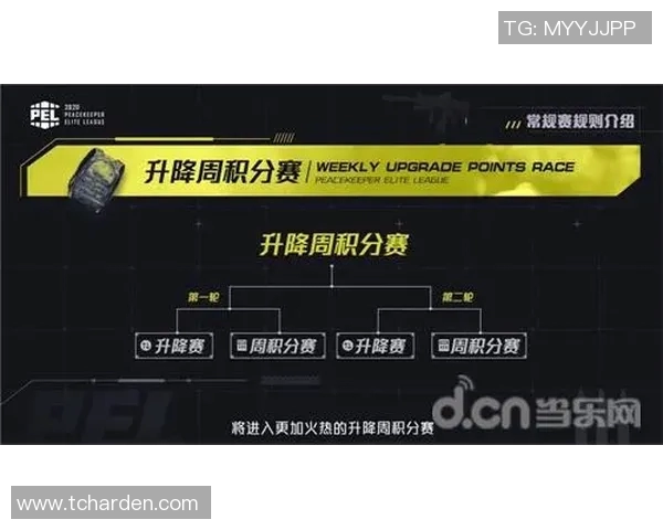 深入分析JDG战队的盯防策略与战术运用全解读