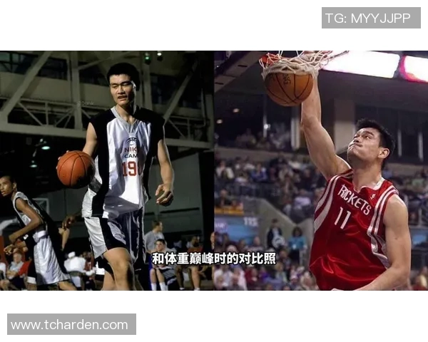 罗斯与姚明的巅峰对决回顾：两位巨星在NBA赛场上的精彩交锋